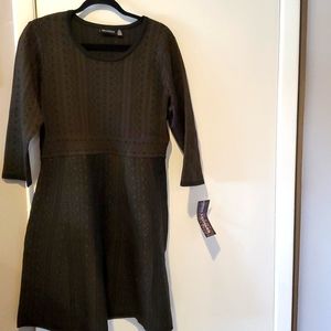 Knit A Line Dress 3/4 Sleeves XL